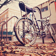 手机号轰炸免费在线网站